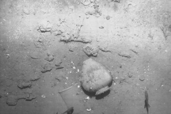 В Сети появились снимки останков испанского галеона, лежащих на огромной глубине с сокровищами В Сети появились снимки останков испанского галеона, лежащих на огромной глубине с сокровищами