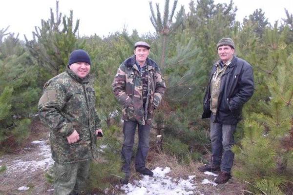 На Луганщине полиция задержала группу лиц, которые незаконно вырубали хвойные деревья На Луганщине полиция задержала группу лиц, которые незаконно вырубали хвойные деревья