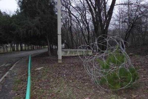 В ботаническом саду российского города Ростов-на-Дону елки огородили колючей проволокой