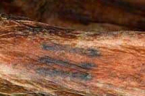 Ученые-археологи определили, кто впервые в истории сделал тату