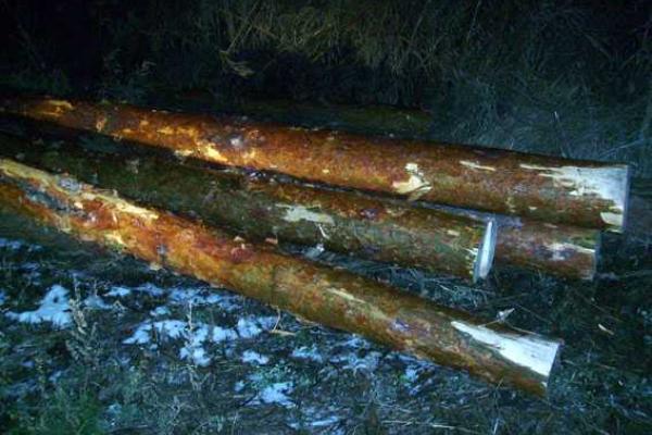 На Полтавщине найден труп местного жителя, погибшего в ДТП На Полтавщине найден труп местного жителя, погибшего в ДТП