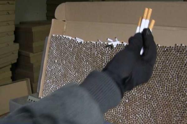 В Польше в результате спецоперации задержаны 58 граждан Украины В Польше в результате спецоперации задержаны 58 граждан Украины