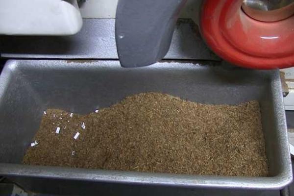 В Польше в результате спецоперации задержаны 58 граждан Украины В Польше в результате спецоперации задержаны 58 граждан Украины