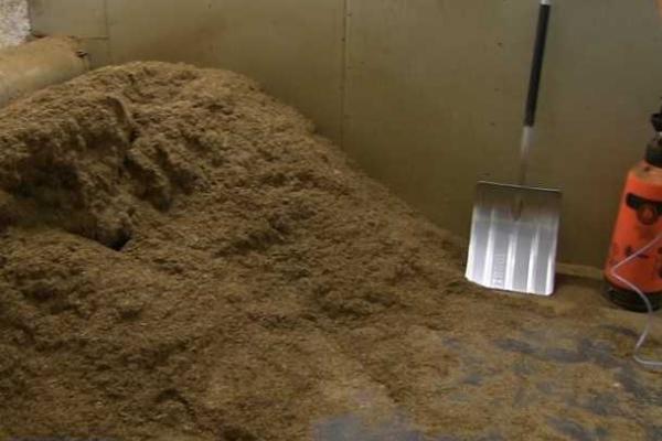 В Польше в результате спецоперации задержаны 58 граждан Украины В Польше в результате спецоперации задержаны 58 граждан Украины