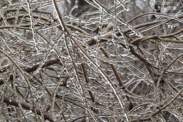 В Мариуполе объявлено штормовое предупреждение: ожидается туман, гололед и сильный ветер В Мариуполе объявлено штормовое предупреждение: ожидается туман, гололед и сильный ветер