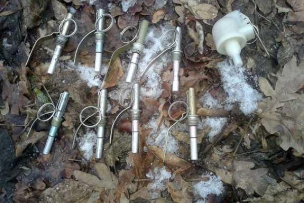 На Донетчине в лесополосе обнаружен замаскированный тайник с боеприпасами На Донетчине в лесополосе обнаружен замаскированный тайник с боеприпасами