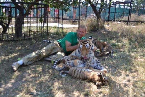 Крым потеряет сразу два зоопарка: заповедник "Сказка" и парк львов "Тайган" переедут в Китай