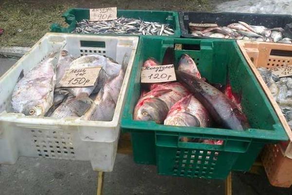 Журналисты побывали на ярмарке в Донецке: цены на продукты питания не радуют Журналисты побывали на ярмарке в Донецке: цены на продукты питания не радуют
