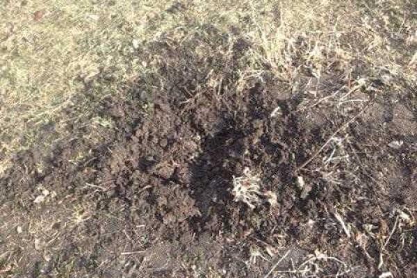Боевики "ЛНР" выпустили по Луганску несколько снарядов: жители юморят - промахнулись малеха Боевики "ЛНР" выпустили по Луганску несколько снарядов: жители юморят - промахнулись малеха
