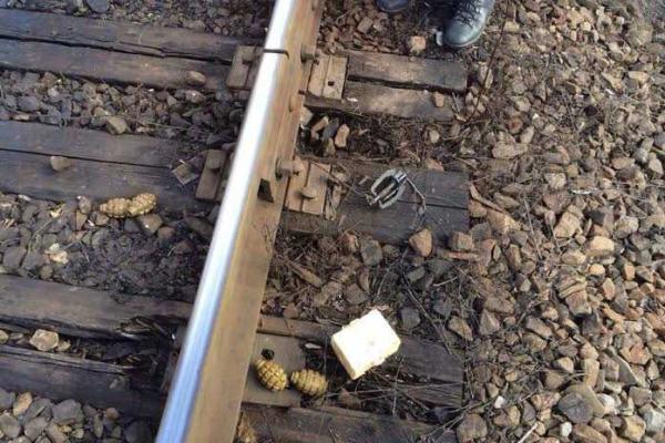 Подробности о готовившейся диверсии на железной дороге в Попаснянском районе на Луганщине