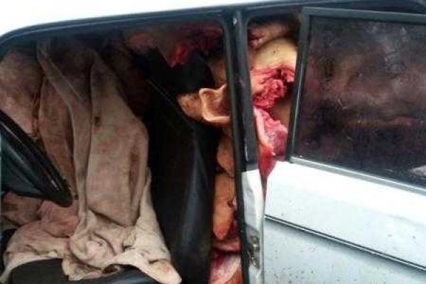 На Донетчине задержаны водители, пытавшиеся прорваться в "ДНР" на авто, забитых мясными тушами