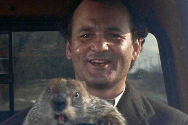 Актер Билл Мюррей, разозлившись, разбил смартфоны надоедливых фанатов