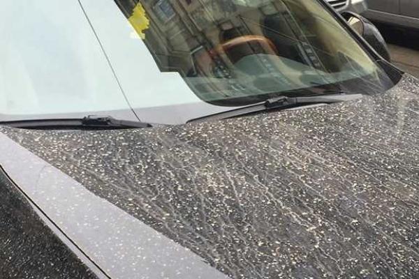Во Львове на головы прохожих лились потоки дождя оранжевого цвета Во Львове на головы прохожих лились потоки дождя оранжевого цвета