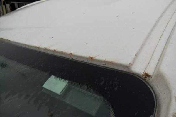 Во Львове на головы прохожих лились потоки дождя оранжевого цвета Во Львове на головы прохожих лились потоки дождя оранжевого цвета