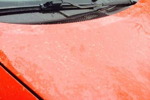 Во Львове на головы прохожих лились потоки дождя оранжевого цвета Во Львове на головы прохожих лились потоки дождя оранжевого цвета