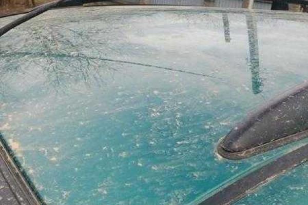 Во Львове на головы прохожих лились потоки дождя оранжевого цвета Во Львове на головы прохожих лились потоки дождя оранжевого цвета