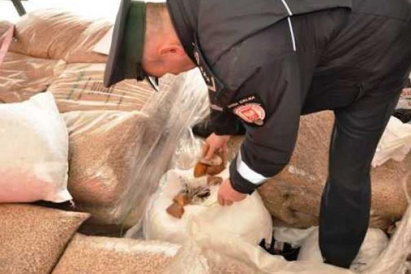 В Польше арестовали рекордную партию украинского янтаря