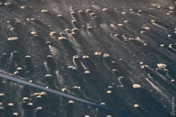 Циклон "Габи" принес в Одессу дожди, снег и песок из Сахары