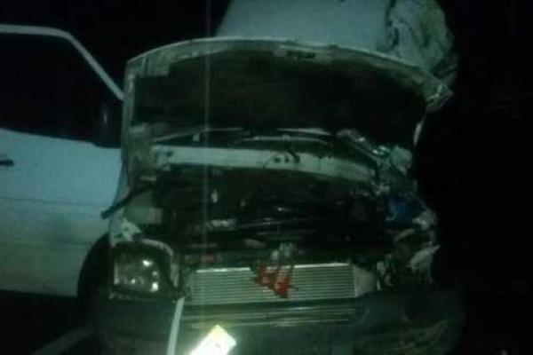 На Закарпатье прицеп фуры смял автобус "Mercedes Benz Sprinter": один человек погиб, девять травмированы На Закарпатье прицеп фуры смял автобус "Mercedes Benz Sprinter": один человек погиб, девять травмированы