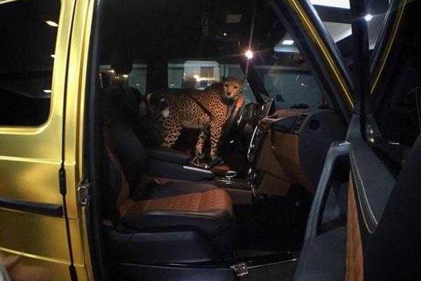 Британцы шокированы роскошными авто саудовского принца, приехавшего в Лондон на отдых