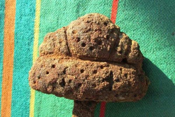 Эстония решила вернуть в Украину меч викингов, конфискованный на границе с Россией