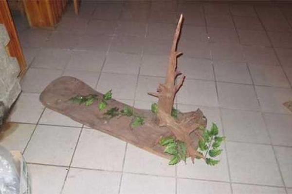 Пьяные приятели, решив пошутить, украли из киевского отеля... чучело волка Пьяные приятели, решив пошутить, украли из киевского отеля... чучело волка