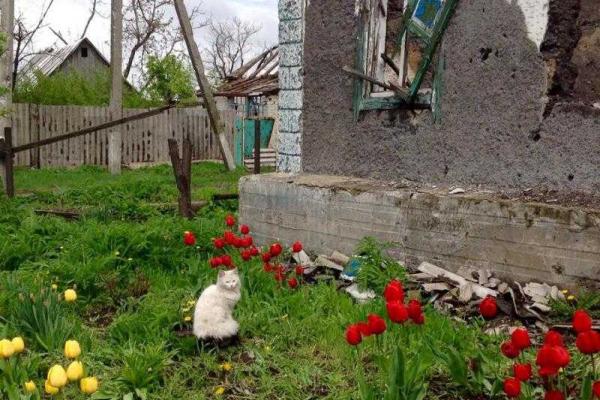 Боевики "ДНР" нанимают местных жителей разбирать завалы и мусор, оставшиеся от их домов после обстрелов Боевики "ДНР" нанимают местных жителей разбирать завалы и мусор, оставшиеся от их домов после обстрелов