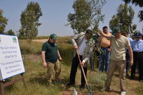 Частичка Украины на израильской земле: в Израиле заложен "Лес Украины"