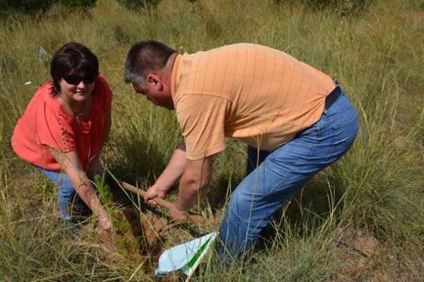 Частичка Украины на израильской земле: в Израиле заложен "Лес Украины"