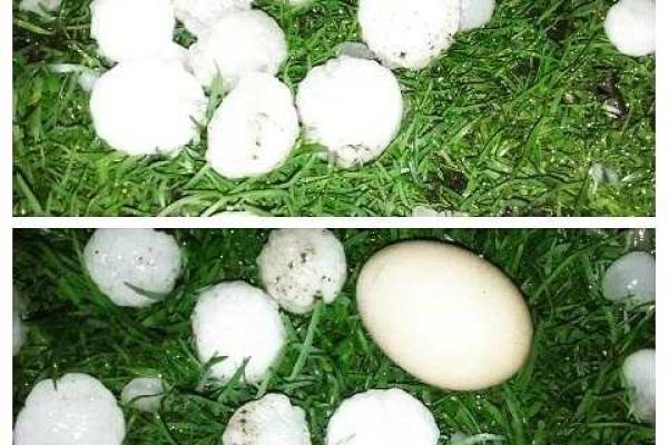 Град размером с куриное яйцо засыпал города Львовщины Град размером с куриное яйцо засыпал города Львовщины