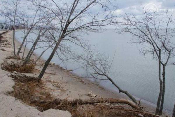 В Мариуполе штормовой ветер ломал деревья и срывал крыши с остановок