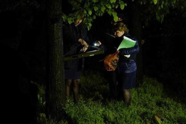 В Одессе ночью банк обстреляли из гранатомета: произошел взрыв, здание повреждено В Одессе ночью банк обстреляли из гранатомета: произошел взрыв, здание повреждено