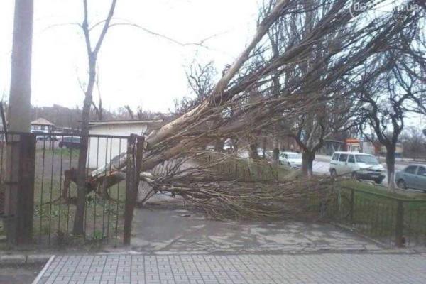 В Мариуполе штормовой ветер ломал деревья и срывал крыши с остановок