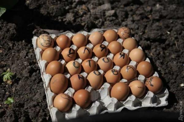В Одессе активисты объявили бессрочную акцию, протестуя против назначения нового прокурора области В Одессе активисты объявили бессрочную акцию, протестуя против назначения нового прокурора области