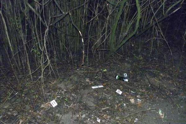 В Киеве по "горячим следам" задержан насильник и грабитель В Киеве по "горячим следам" задержан насильник и грабитель