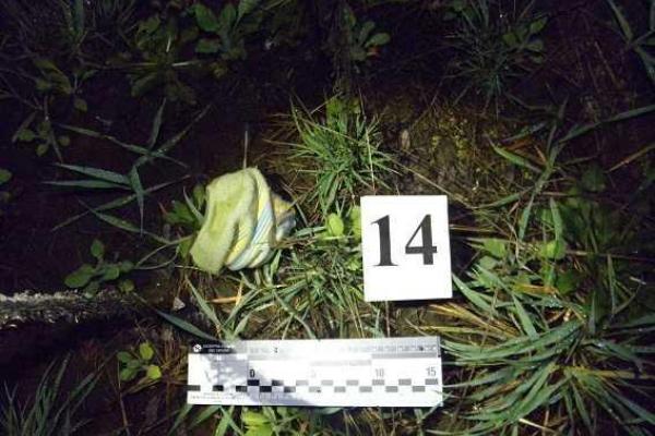 В Киеве по "горячим следам" задержан насильник и грабитель В Киеве по "горячим следам" задержан насильник и грабитель