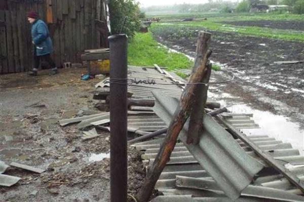 На Луганщине из-за непогоды повреждены жилые дома, повалены деревья, залиты подворья