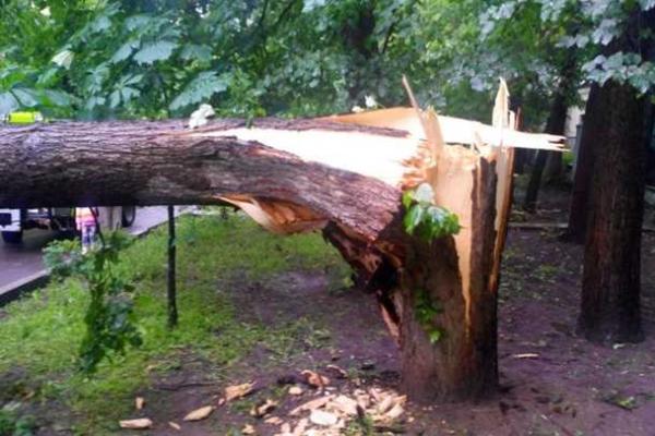 В Харькове бушевала непогода: сорванный шифер, поваленные деревья, оборванные провода В Харькове бушевала непогода: сорванный шифер, поваленные деревья, оборванные провода