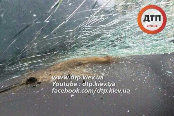 В Киеве автомобиль "Daewoo" жестко "поцеловал" столб