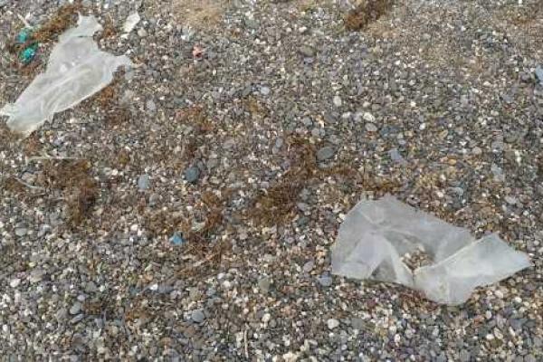 Пляжи Крыма нагоняют тоску на местных жителей, мечтающих о толпах туристов Пляжи Крыма нагоняют тоску на местных жителей, мечтающих о толпах туристов