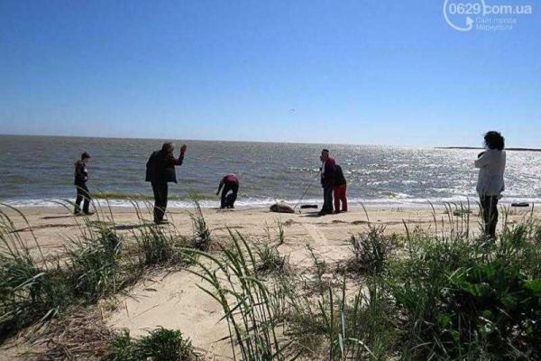 В Мариуполе на пляже обнаружено тело мертвого дельфина