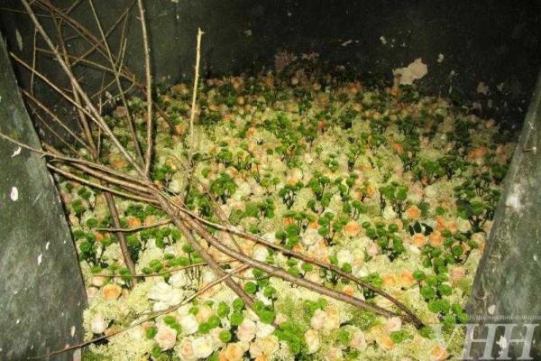 Всеукраинский фестиваль флористов стартовал на Закарпатье