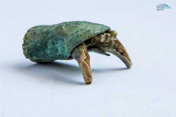 Российские археологи выкопали клад в Крыму Российские археологи выкопали клад в Крыму