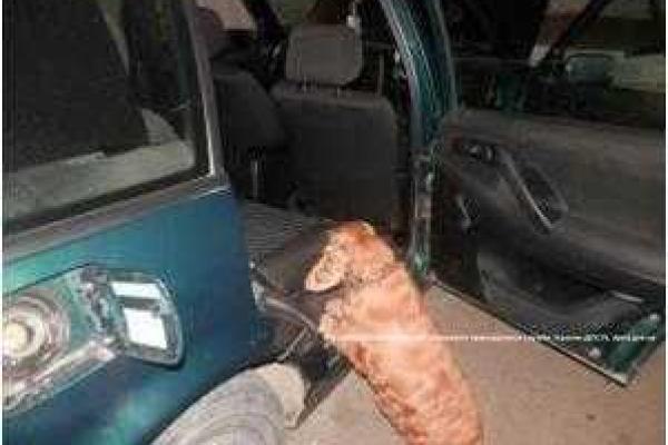 На Закарпатье пограничники задержали венгра, который "заправил" свое авто сигаретами На Закарпатье пограничники задержали венгра, который "заправил" свое авто сигаретами