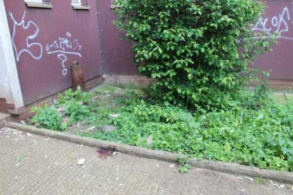 Удачное приземление: в Ужгороде мужчина выпав с балкона 5-го этажа, приземлился в спасительных кустах Удачное приземление: в Ужгороде мужчина выпав с балкона 5-го этажа, приземлился в спасительных кустах