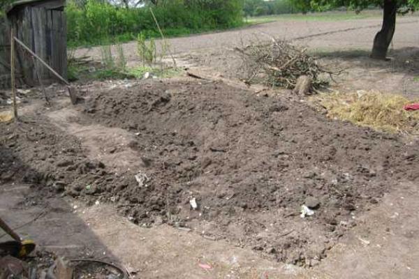 На Черниговщине ссора пенсионерки с приятелем внучки закончилась жестоким убийством На Черниговщине ссора пенсионерки с приятелем внучки закончилась жестоким убийством