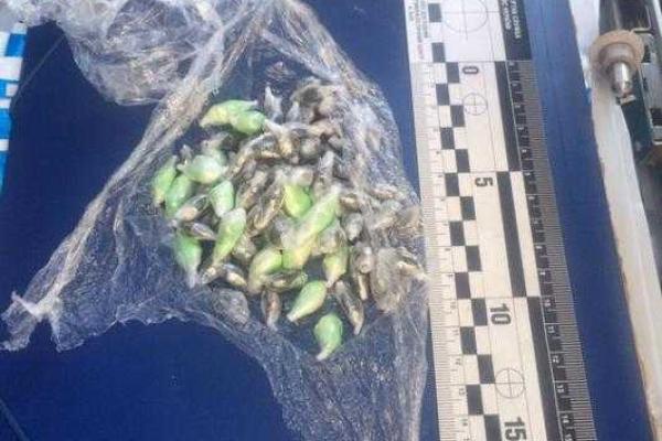 В Киеве у задержанного наркоторговца изъяли товара на 700 тысяч гривен