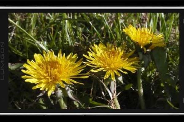 Создан первый первый в мире смартфон с камерой ночного видения Создан первый первый в мире смартфон с камерой ночного видения