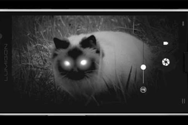 Создан первый первый в мире смартфон с камерой ночного видения Создан первый первый в мире смартфон с камерой ночного видения