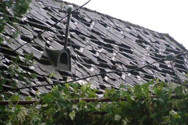 Град размером с куриное яйцо наделал бед на Закарпатье